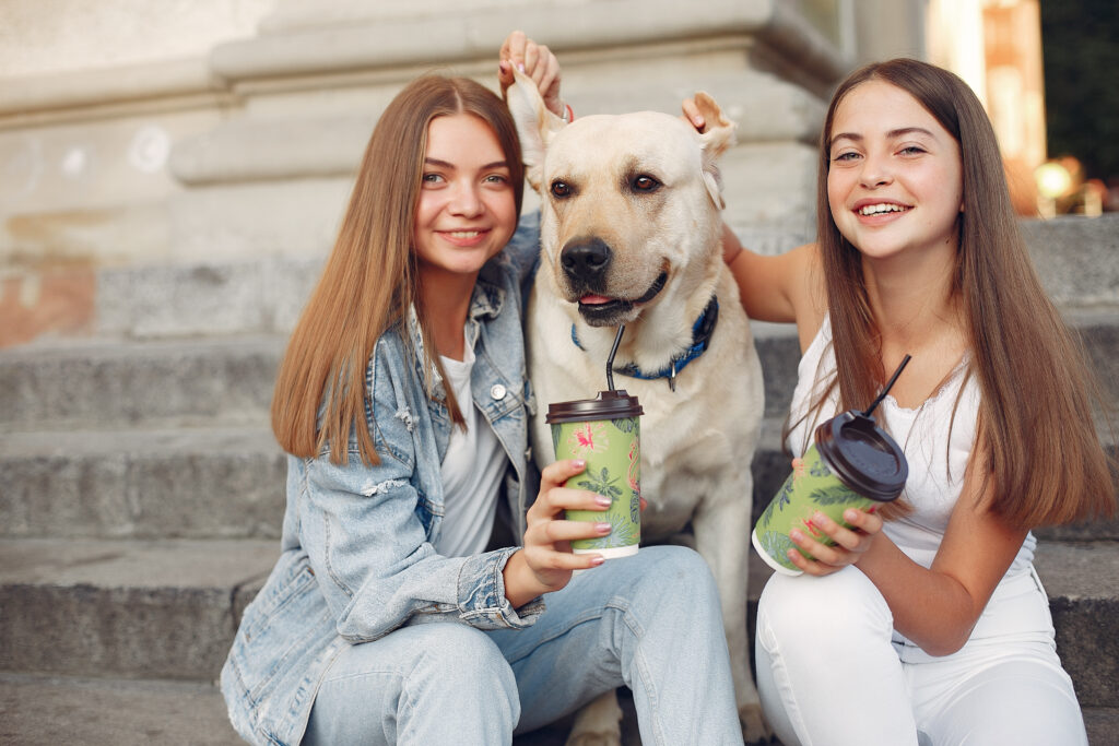 dog friendly pubs