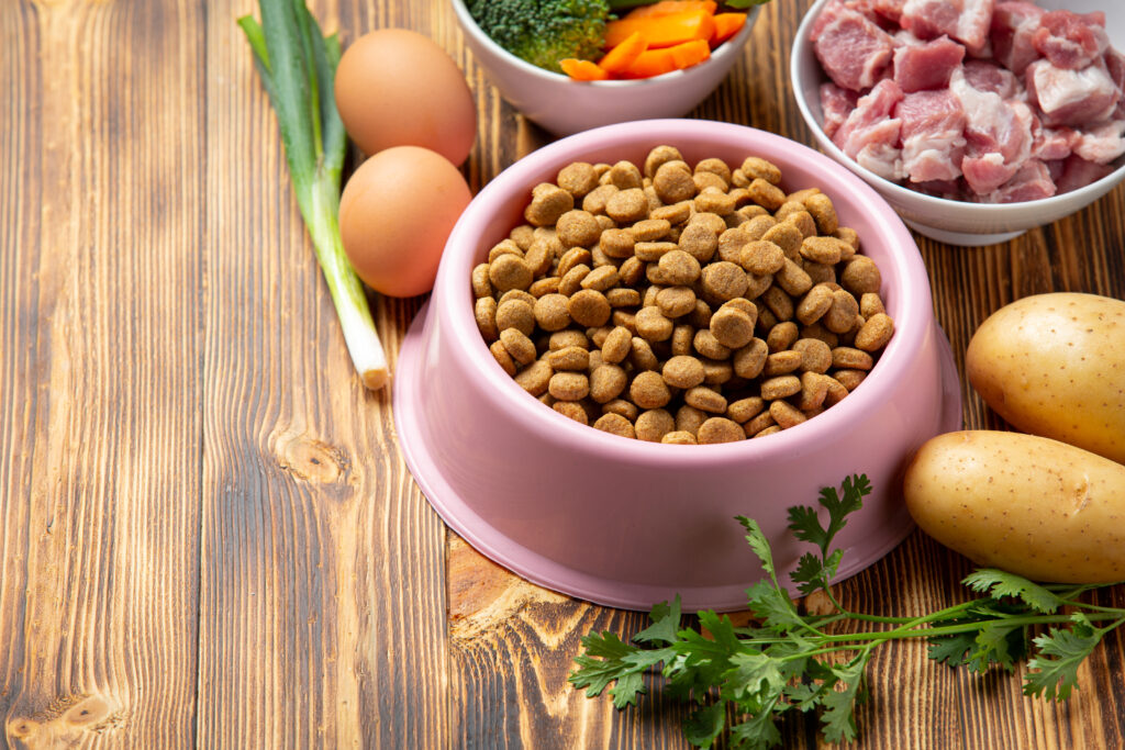 homemade dog food for senior dogs